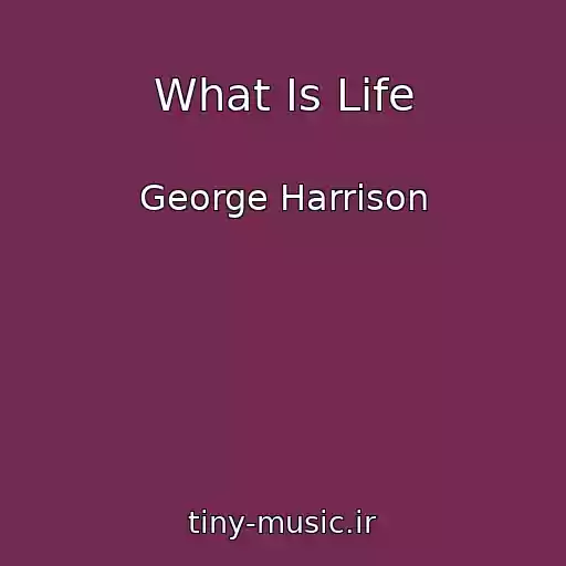 کاور آهنگ What Is Life از George Harrison