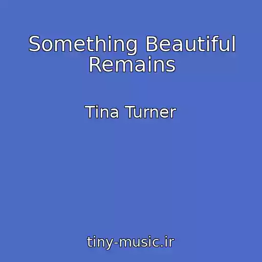 کاور آهنگ Something Beautiful Remains از Tina Turner