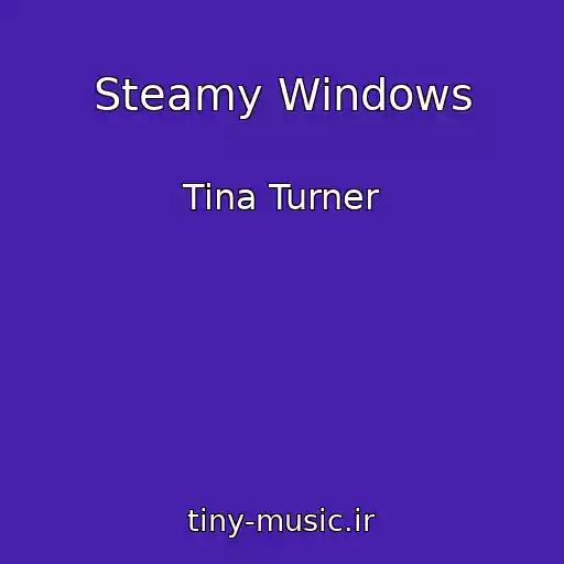 کاور آهنگ Steamy Windows از Tina Turner