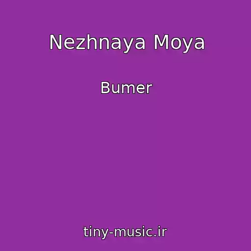 کاور آهنگ Nezhnaya Moya از Bumer
