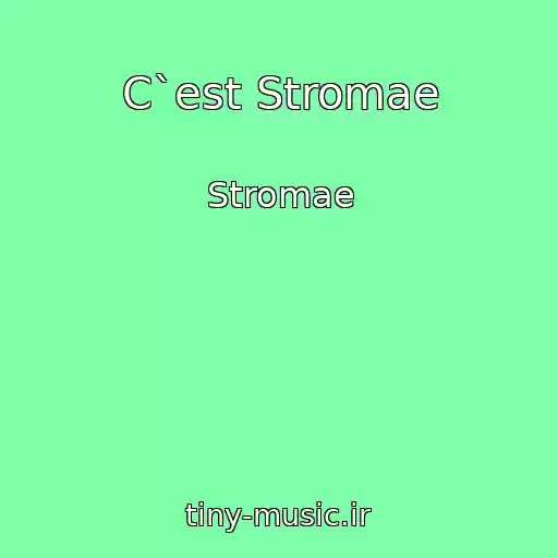کاور آهنگ C`est Stromae از Stromae