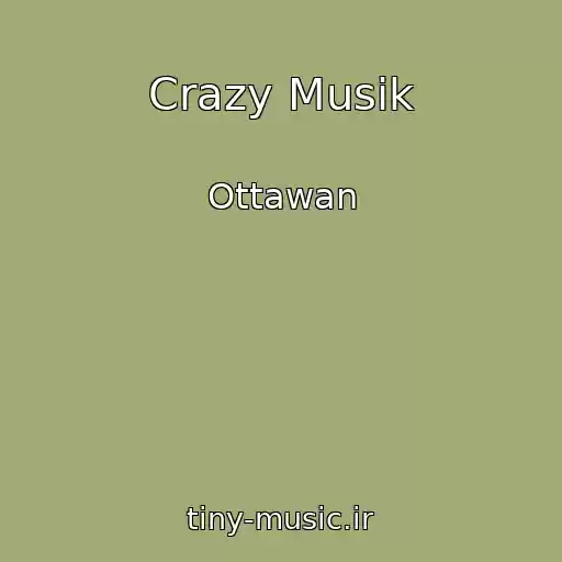 کاور آهنگ Crazy Musik از Ottawan