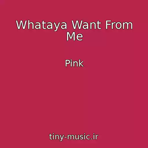 کاور آهنگ Whataya Want From Me از Pink