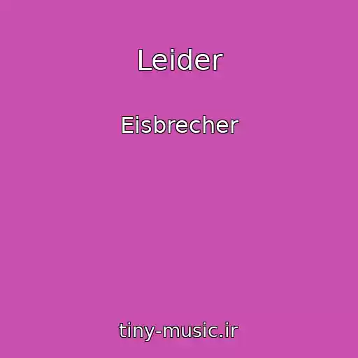 کاور آهنگ Leider از Eisbrecher