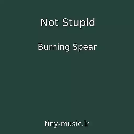 کاور آهنگ Not Stupid از Burning Spear