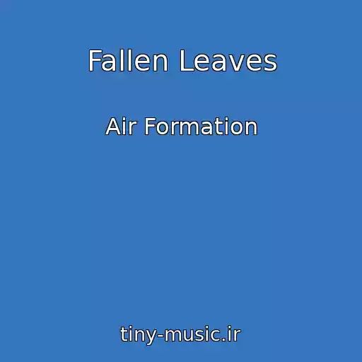 کاور آهنگ Fallen Leaves از Air Formation