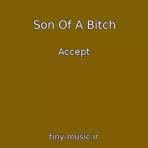 کاور آهنگ Son Of A Bitch از Accept