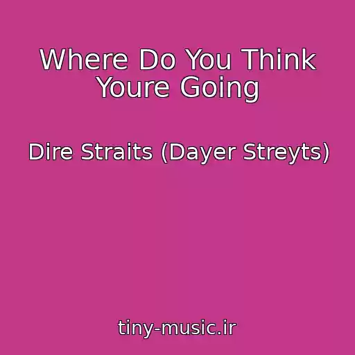 کاور آهنگ Where Do You Think Youre Going از Dire Straits (Dayer Streyts)
