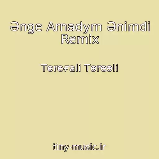 کاور آهنگ Әnge Arnadym Әnіmdі Remix از Tөreғali Tөreәlі