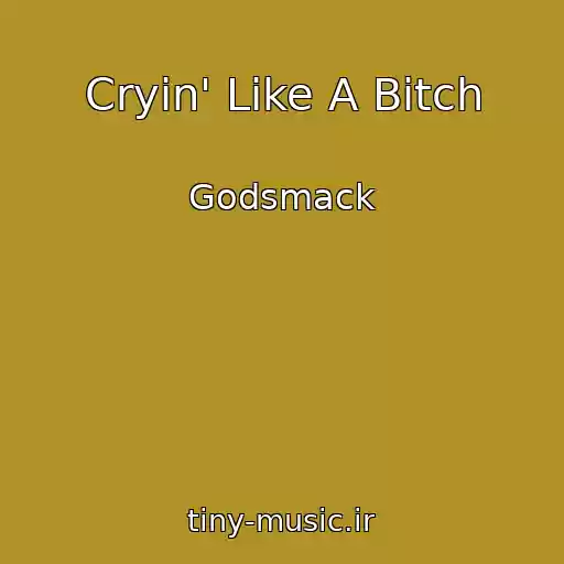 کاور آهنگ Cryin' Like A Bitch از Godsmack