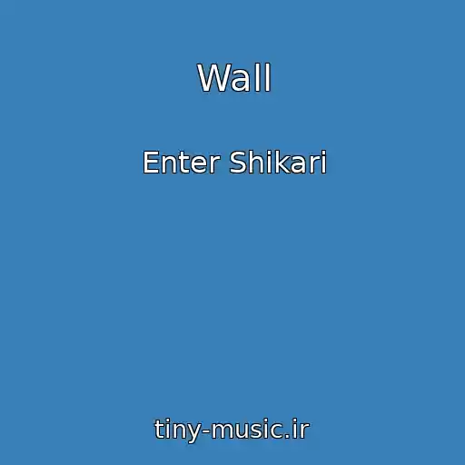 کاور آهنگ Wall از Enter Shikari