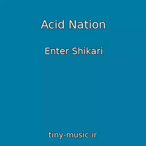 کاور آهنگ Acid Nation از Enter Shikari