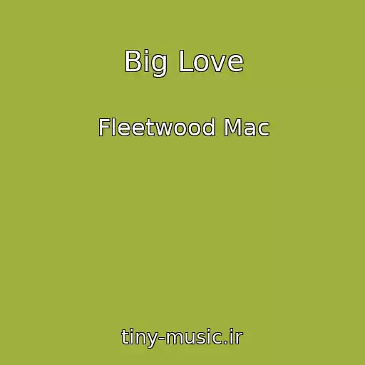 کاور آهنگ Big Love از Fleetwood Mac