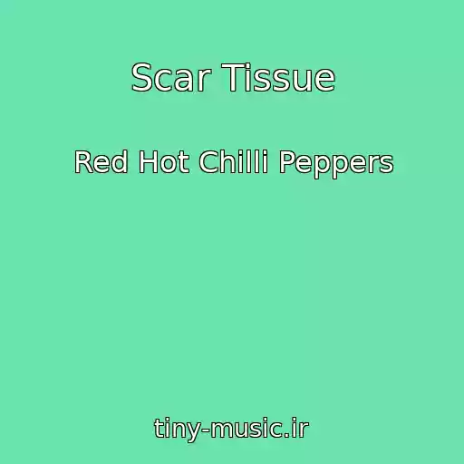 کاور آهنگ Scar Tissue از Red Hot Chilli Peppers