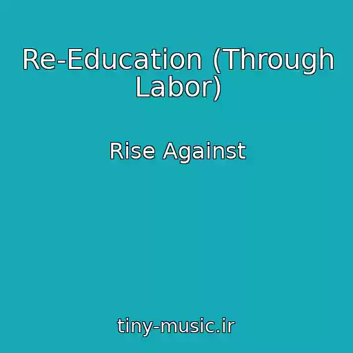 کاور آهنگ Re-Education (Through Labor) از Rise Against