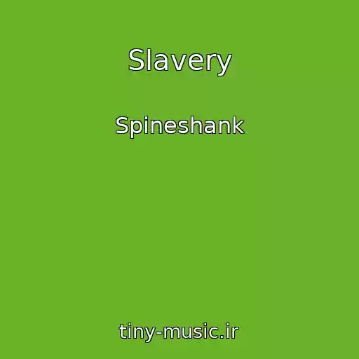 کاور آهنگ Slavery از Spineshank