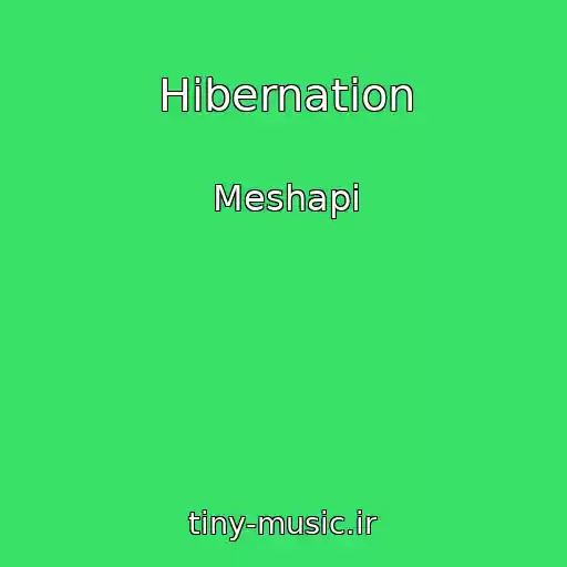 کاور آهنگ Hibernation از Meshapi
