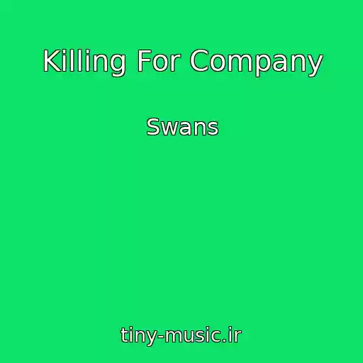 کاور آهنگ Killing For Company از Swans