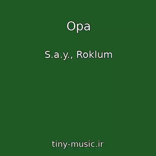 کاور آهنگ Opa از S.a.y., Roklum