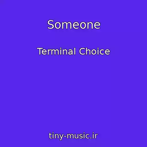 کاور آهنگ Someone از Terminal Choice