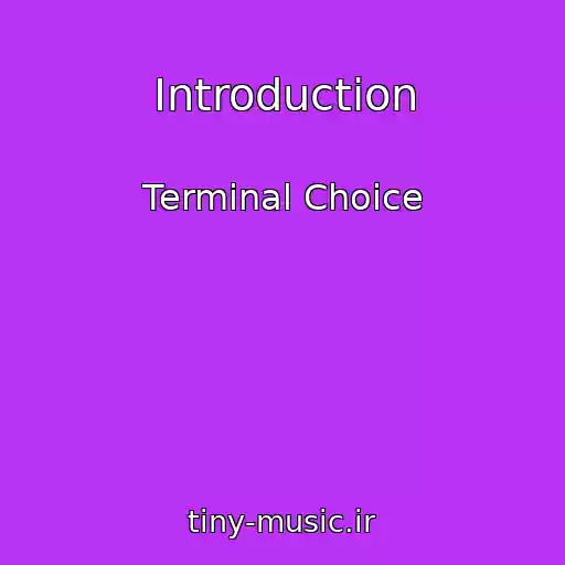 کاور آهنگ Introduction از Terminal Choice