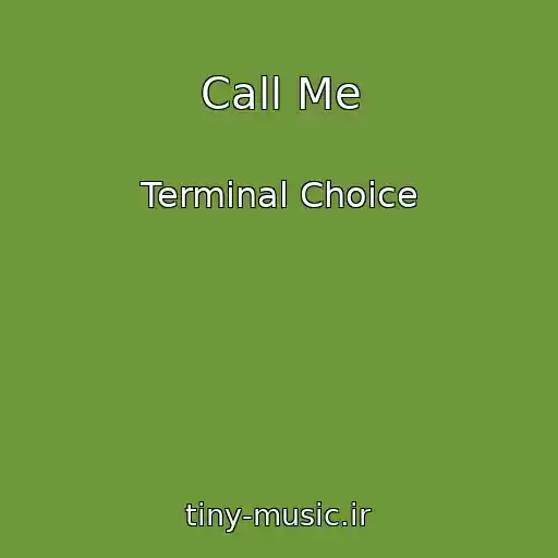 کاور آهنگ Call Me از Terminal Choice