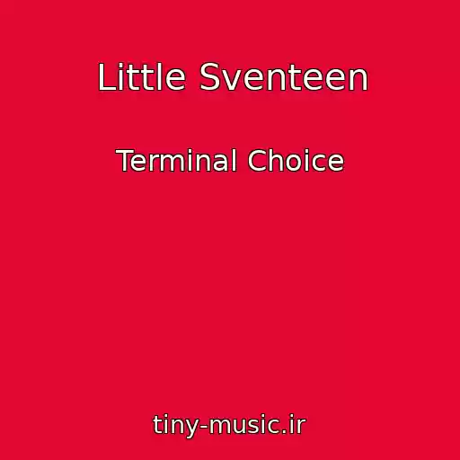 کاور آهنگ Little Sventeen از Terminal Choice