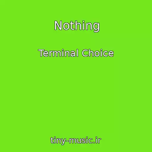 کاور آهنگ Nothing از Terminal Choice
