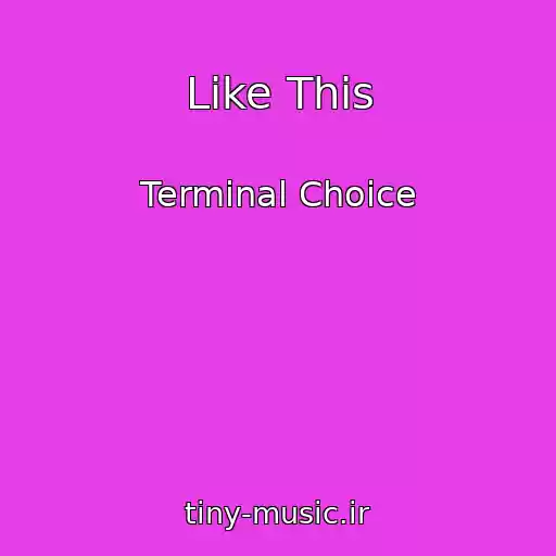 کاور آهنگ Like This از Terminal Choice