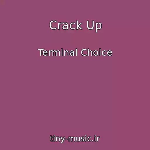 کاور آهنگ Crack Up از Terminal Choice