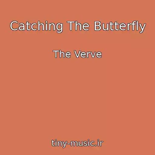 کاور آهنگ Catching The Butterfly از The Verve