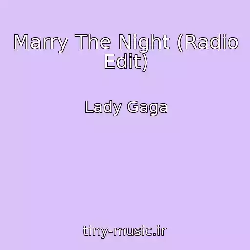 کاور آهنگ Marry The Night (Radio Edit) از Lady Gaga