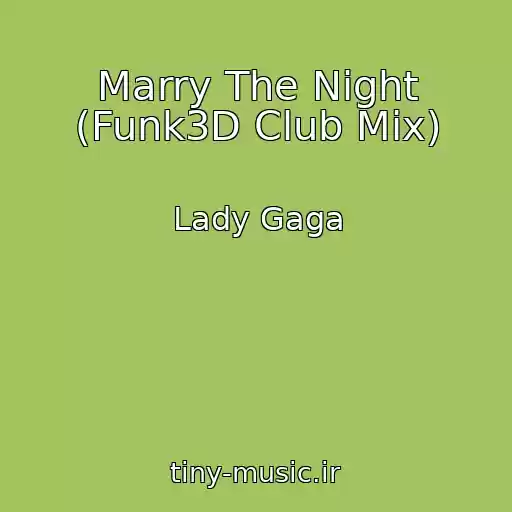 کاور آهنگ Marry The Night (Funk3D Club Mix) از Lady Gaga