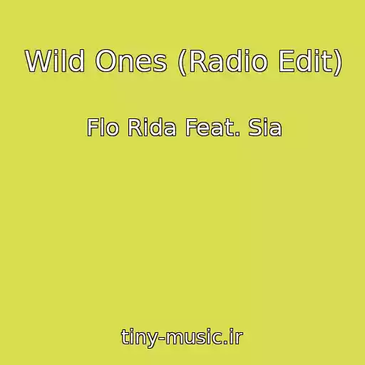 کاور آهنگ Wild Ones (Radio Edit) از Flo Rida Feat. Sia