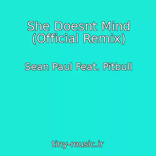 کاور آهنگ She Doesnt Mind (Official Remix) از Sean Paul Feat. Pitbull