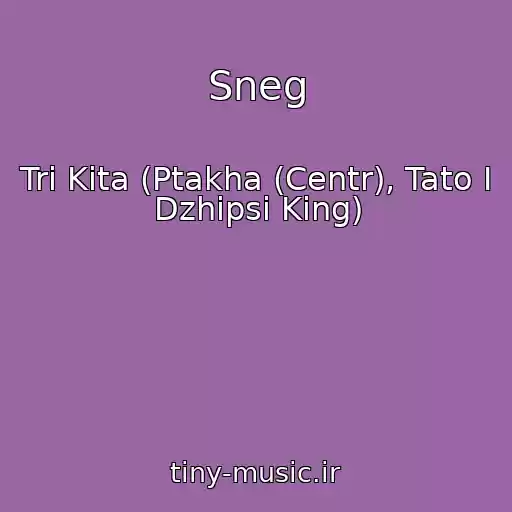 کاور آهنگ Sneg از Tri Kita (Ptakha (Centr), Tato I Dzhipsi King)