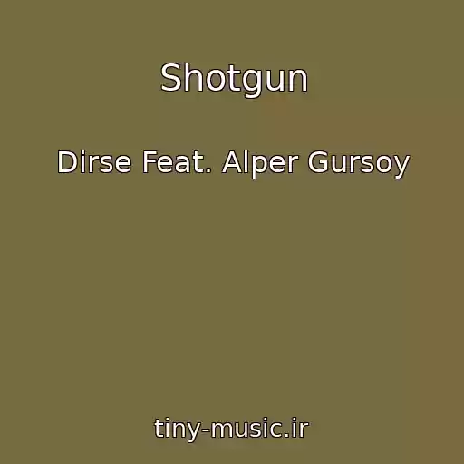 کاور آهنگ Shotgun از Dirse Feat. Alper Gursoy