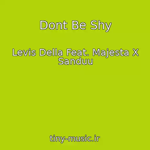 کاور آهنگ Dont Be Shy از Levis Della Feat. Majesta X Sanduu