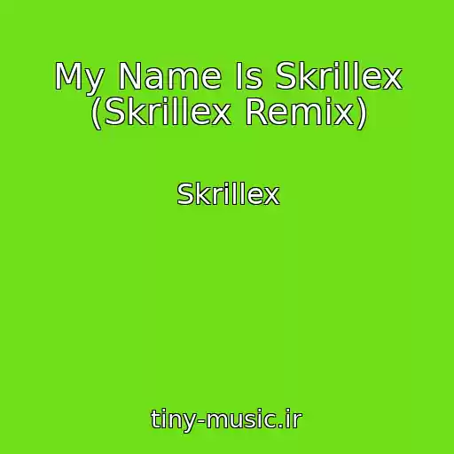 کاور آهنگ My Name Is Skrillex (Skrillex Remix) از Skrillex