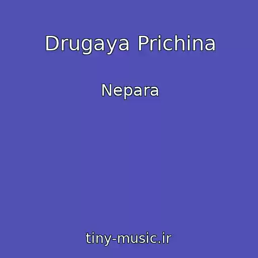 کاور آهنگ Drugaya Prichina از Nepara