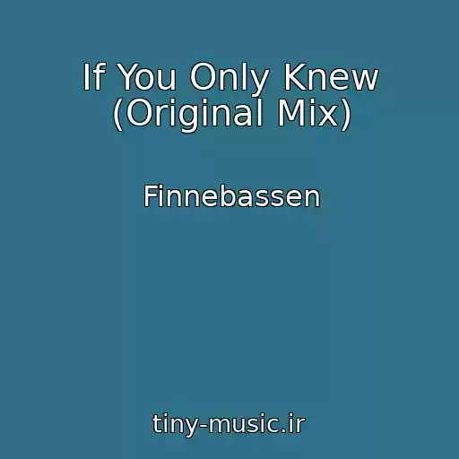 کاور آهنگ If You Only Knew (Original Mix) از Finnebassen