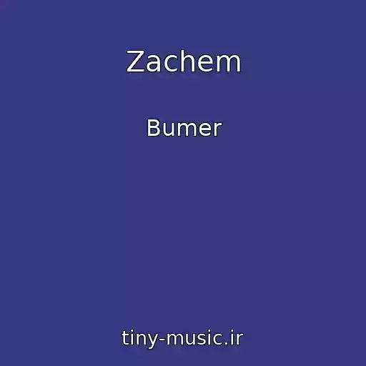 کاور آهنگ Zachem از Bumer