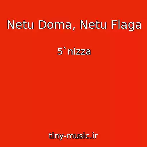 کاور آهنگ Netu Doma, Netu Flaga از 5`nizza