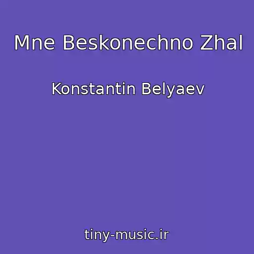 کاور آهنگ Mne Beskonechno Zhal از Konstantin Belyaev
