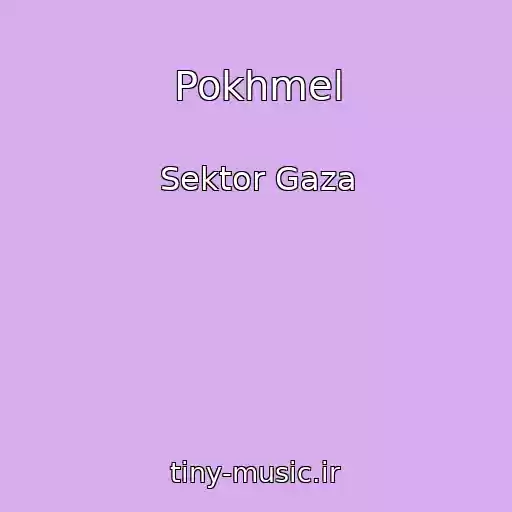 کاور آهنگ Pokhmel از Sektor Gaza