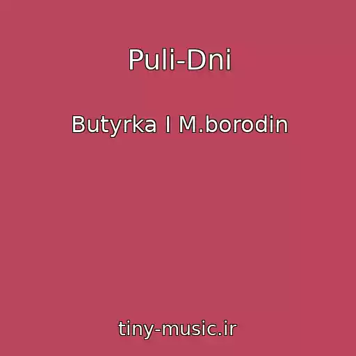 کاور آهنگ Puli-Dni از Butyrka I M.borodin