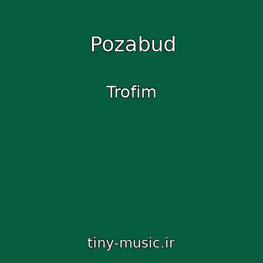 کاور آهنگ Pozabud از Trofim