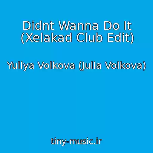 کاور آهنگ Didnt Wanna Do It (Xelakad Club Edit) از Yuliya Volkova (Julia Volkova)