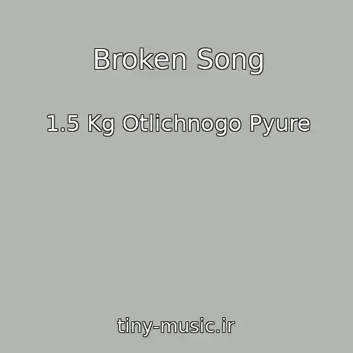 کاور آهنگ Broken Song از 1.5 Kg Otlichnogo Pyure