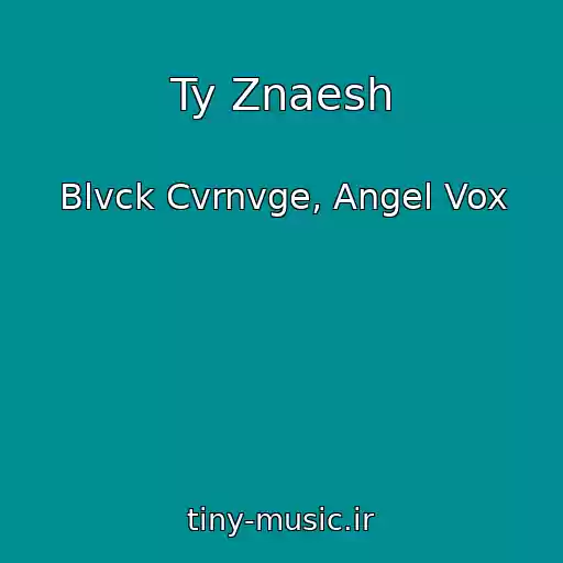 کاور آهنگ Ty Znaesh از Blvck Cvrnvge, Angel Vox